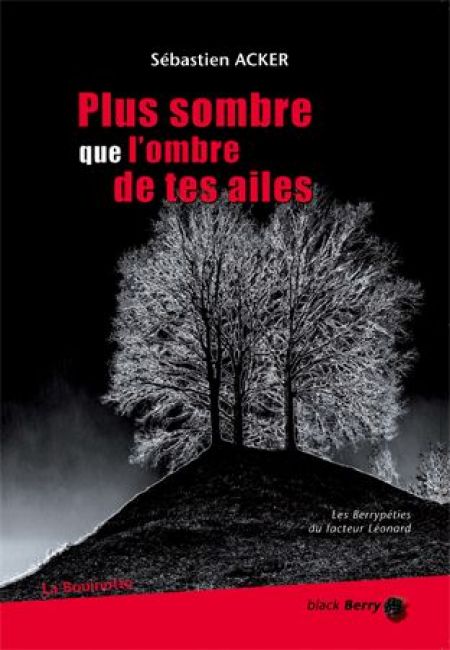 Plus sombre que l'ombre de tes ailes