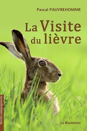 La visite du lièvre