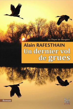 Un dernier vol de grues