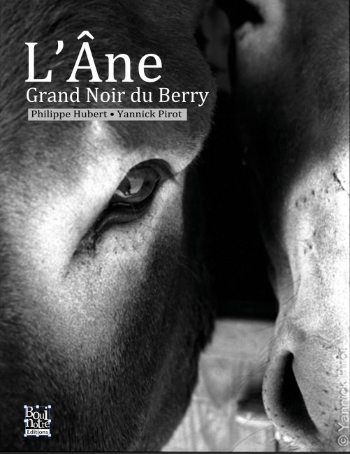 L'Âne Grand Noir du Berry