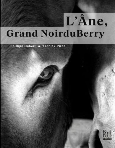 L'âne, grand noir du Berry